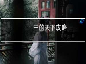 王的天下攻略