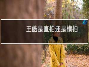 王皓是直拍还是横拍