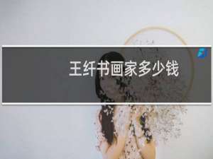 王纤书画家多少钱