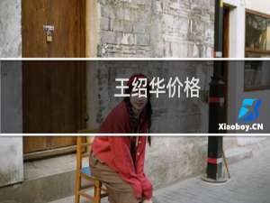 王绍华价格