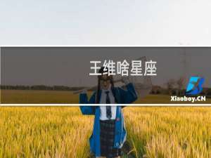 王维啥星座