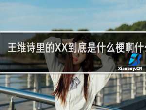 王维诗里的XX到底是什么梗啊什么梗