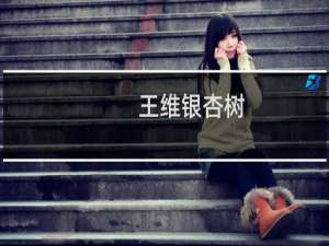 王维银杏树