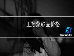 王翔紫砂壶价格