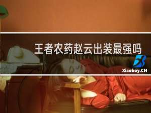 王者农药赵云出装最强吗