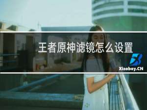 王者原神滤镜怎么设置