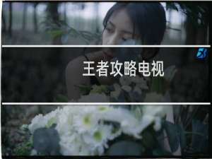 王者攻略电视