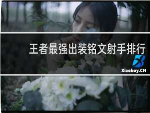 王者最强出装铭文射手排行