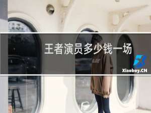 王者演员多少钱一场
