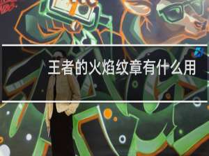 王者的火焰纹章有什么用