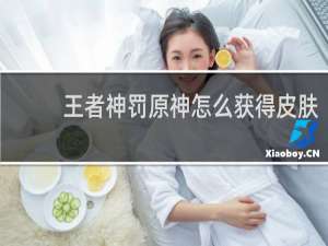 王者神罚原神怎么获得皮肤