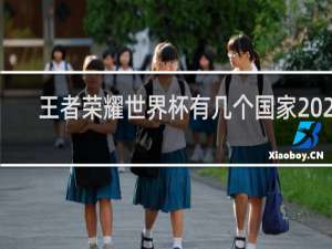 王者荣耀世界杯有几个国家2020