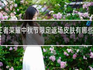 王者荣耀中秋节限定返场皮肤有哪些什么梗