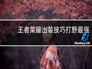 王者荣耀出装技巧打野最强