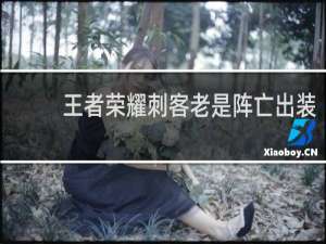 王者荣耀刺客老是阵亡出装