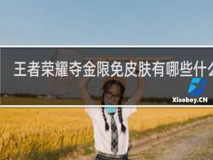王者荣耀夺金限免皮肤有哪些什么梗