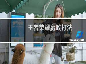 王者荣耀嬴政打法