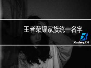 王者荣耀家族统一名字大全（前缀霸气）