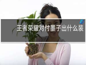 王者荣耀对付墨子出什么装