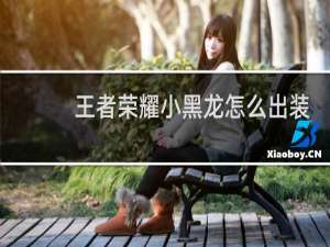 王者荣耀小黑龙怎么出装