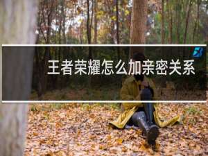 王者荣耀怎么加亲密关系