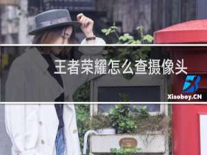 王者荣耀怎么查摄像头 查摄像头方法分享