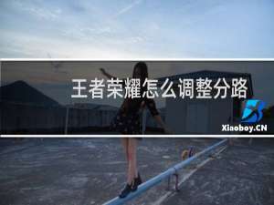王者荣耀怎么调整分路
