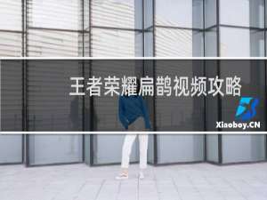 王者荣耀扁鹊视频攻略