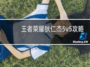 王者荣耀狄仁杰5v5攻略