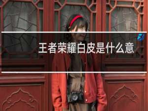 王者荣耀白皮是什么意思（王者荣耀bp是什么意思）