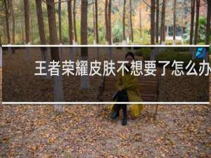 王者荣耀皮肤不想要了怎么办