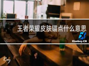 王者荣耀皮肤锚点什么意思