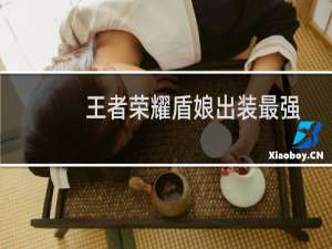 王者荣耀盾娘出装最强