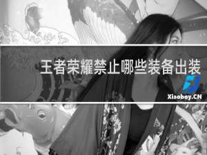 王者荣耀禁止哪些装备出装