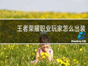 王者荣耀职业玩家怎么出装