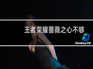 王者荣耀蔷薇之心不够怎么办（不够150解决办法）