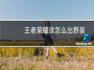 王者荣耀该怎么出野装
