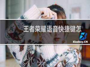 王者荣耀语音快捷键怎么设置（王者荣耀里的快捷语句哪里设置）