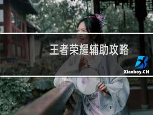 王者荣耀辅助攻略