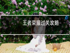 王者荣耀过关攻略