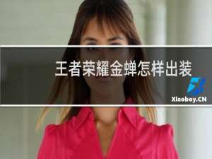 王者荣耀金蝉怎样出装
