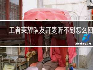 王者荣耀队友开麦听不到怎么回事