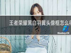 王者荣耀黑白羽翼头像框怎么得