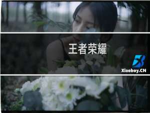 王者荣耀：貂蝉铭文出装攻略