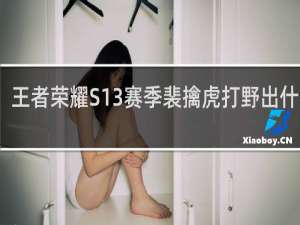 王者荣耀S13赛季裴擒虎打野出什么装
