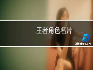 王者角色名片