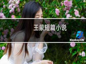 王蒙短篇小说