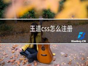 王道css怎么注册