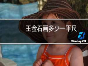 王金石画多少一平尺