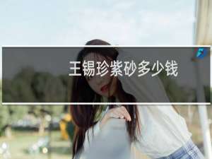 王锡珍紫砂多少钱